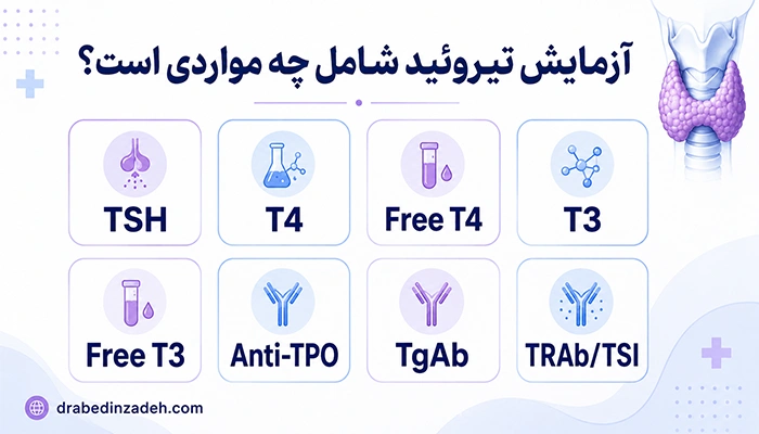 اینفوگرافیک آزمایش تیروئید شامل TSH T4 Free T4 T3 و آنتی بادی های تیروئید